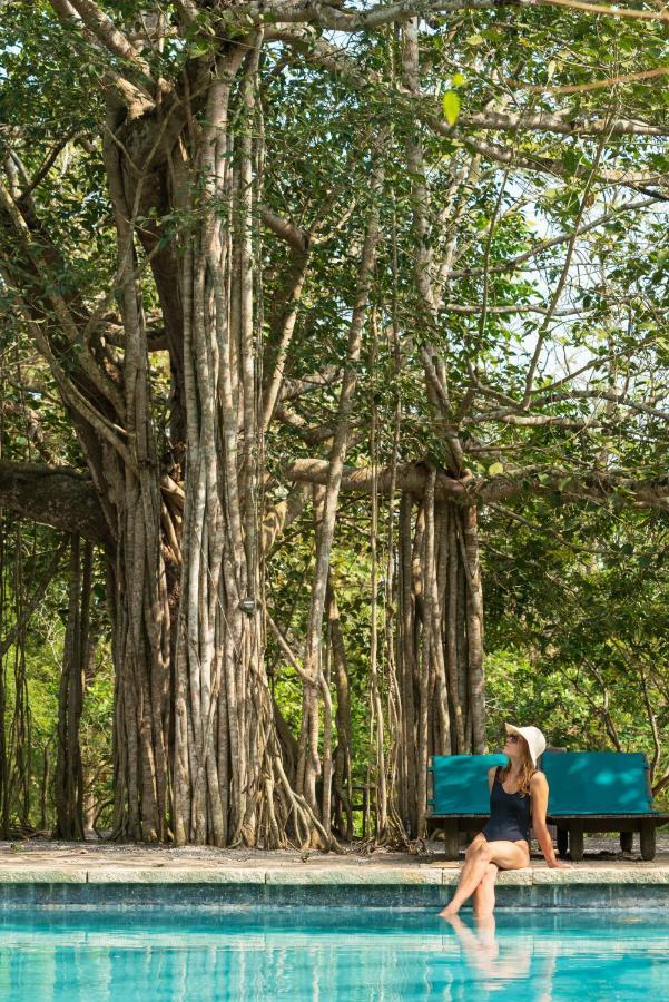 Kaav Safari Lodge, Kabini Begūr Dış mekan fotoğraf