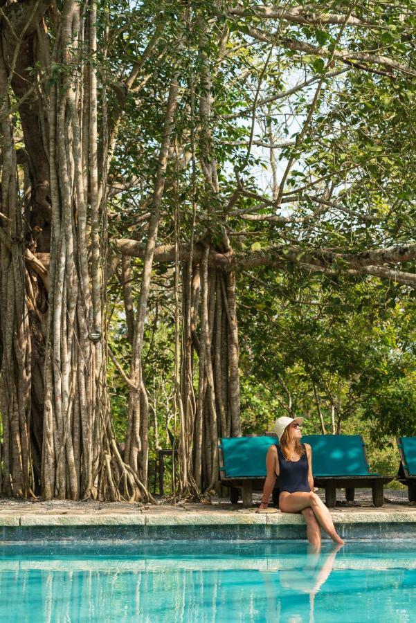 Kaav Safari Lodge, Kabini Begūr Dış mekan fotoğraf