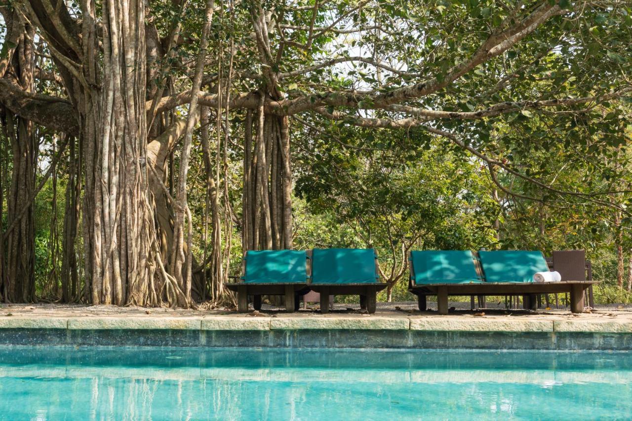 Kaav Safari Lodge, Kabini Begūr Dış mekan fotoğraf