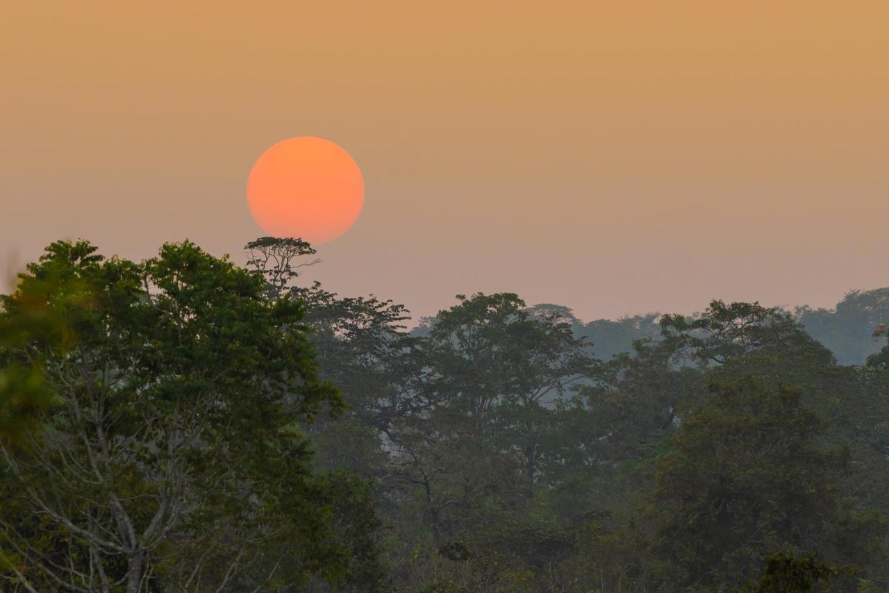 Kaav Safari Lodge, Kabini Begūr Dış mekan fotoğraf